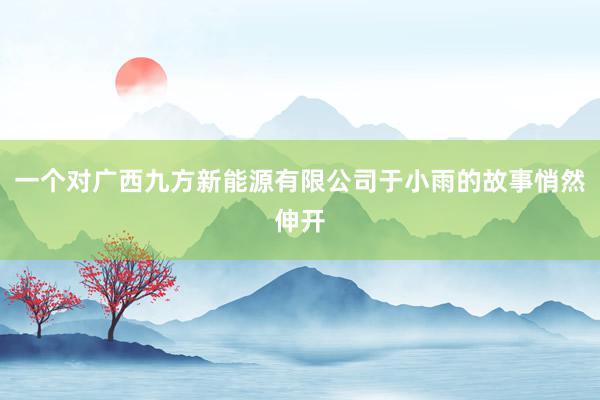 一个对广西九方新能源有限公司于小雨的故事悄然伸开