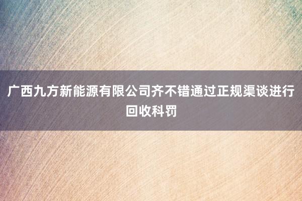 广西九方新能源有限公司齐不错通过正规渠谈进行回收科罚