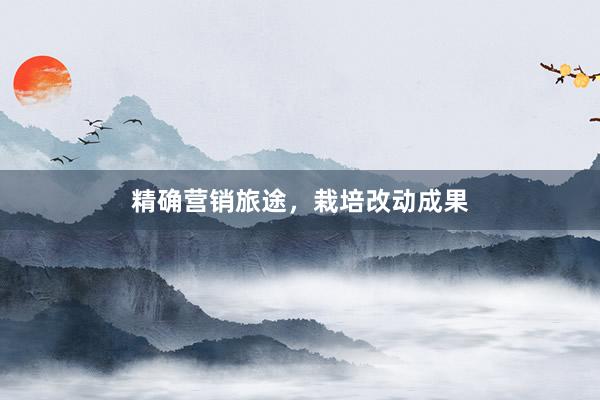 精确营销旅途，栽培改动成果